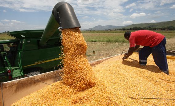 Angola reduz importações do milho e água mineral 
